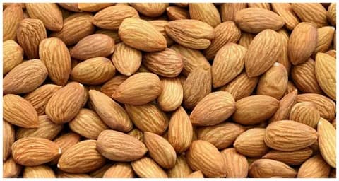 تصویر 3 از مغز بادام خام درختی با کیفیت ممتاز و یکدست